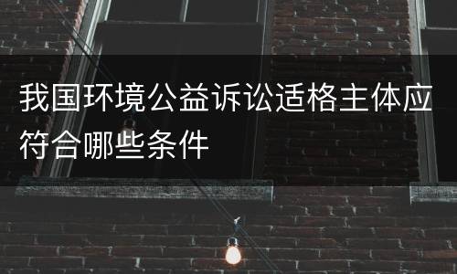 我国环境公益诉讼适格主体应符合哪些条件