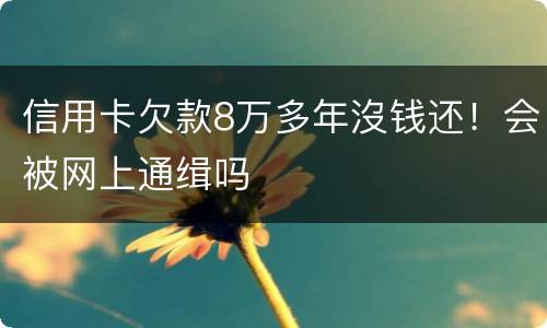 信用卡欠款8万多年沒钱还！会被网上通缉吗