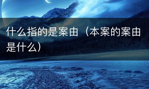 什么指的是案由（本案的案由是什么）