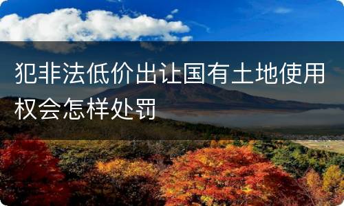 犯非法低价出让国有土地使用权会怎样处罚