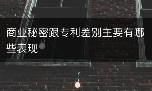 商业秘密跟专利差别主要有哪些表现