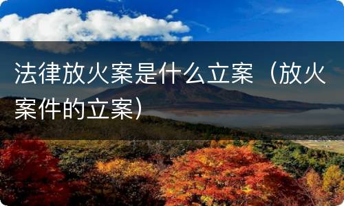 法律放火案是什么立案（放火案件的立案）