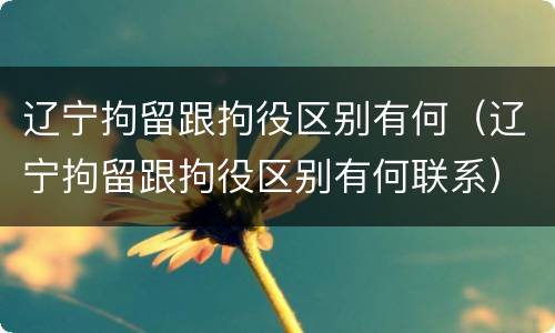 辽宁拘留跟拘役区别有何（辽宁拘留跟拘役区别有何联系）