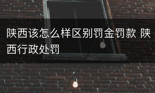 陕西该怎么样区别罚金罚款 陕西行政处罚