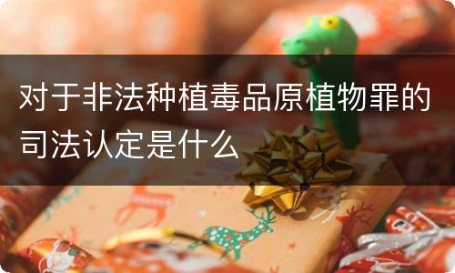 对于非法种植毒品原植物罪的司法认定是什么