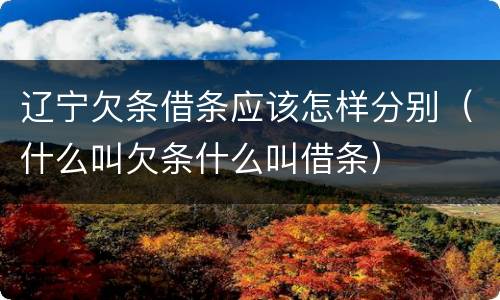 辽宁欠条借条应该怎样分别（什么叫欠条什么叫借条）
