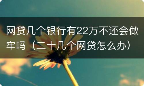 网贷几个银行有22万不还会做牢吗（二十几个网贷怎么办）