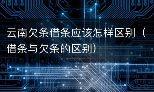 云南欠条借条应该怎样区别（借条与欠条的区别）