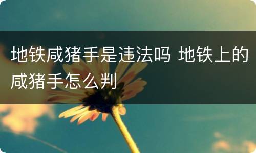 地铁咸猪手是违法吗 地铁上的咸猪手怎么判