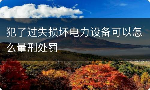 犯了过失损坏电力设备可以怎么量刑处罚