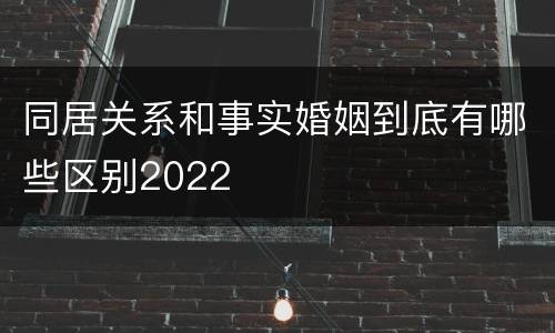 同居关系和事实婚姻到底有哪些区别2022