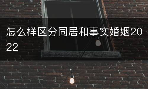 怎么样区分同居和事实婚姻2022