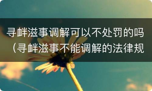 寻衅滋事调解可以不处罚的吗（寻衅滋事不能调解的法律规定）