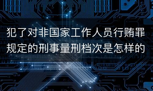 犯了对非国家工作人员行贿罪规定的刑事量刑档次是怎样的