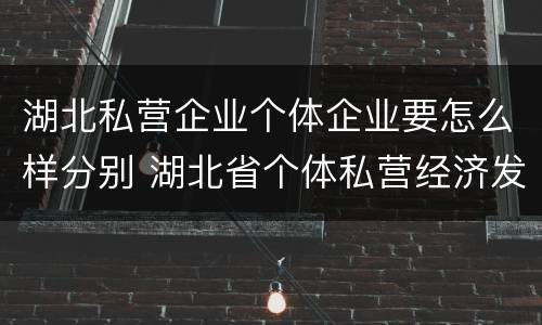 湖北私营企业个体企业要怎么样分别 湖北省个体私营经济发展中心
