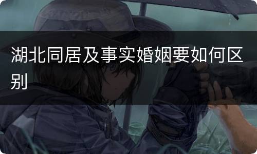 湖北同居及事实婚姻要如何区别