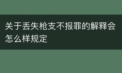 关于丢失枪支不报罪的解释会怎么样规定