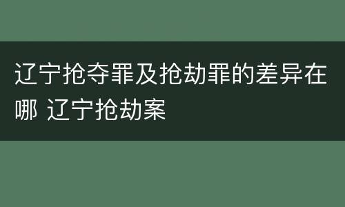 辽宁抢夺罪及抢劫罪的差异在哪 辽宁抢劫案