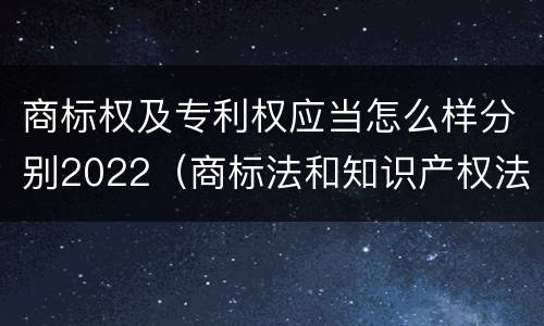 商标权及专利权应当怎么样分别2022（商标法和知识产权法）