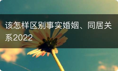 该怎样区别事实婚姻、同居关系2022