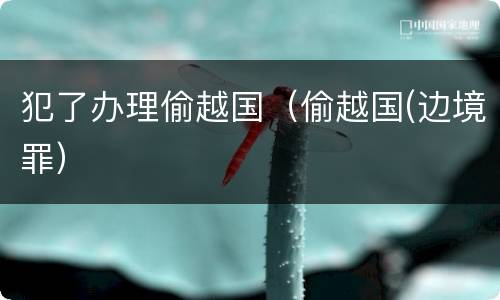 犯了办理偷越国（偷越国(边境罪）
