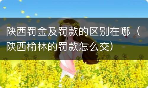 陕西罚金及罚款的区别在哪（陕西榆林的罚款怎么交）