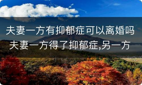 夫妻一方有抑郁症可以离婚吗 夫妻一方得了抑郁症,另一方可以提起离婚吗