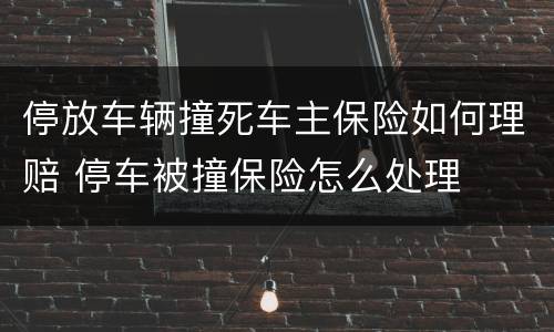 停放车辆撞死车主保险如何理赔 停车被撞保险怎么处理