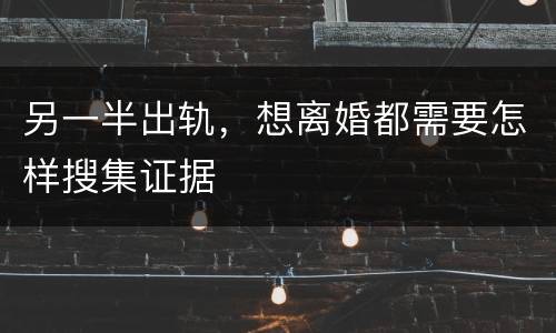 另一半出轨，想离婚都需要怎样搜集证据