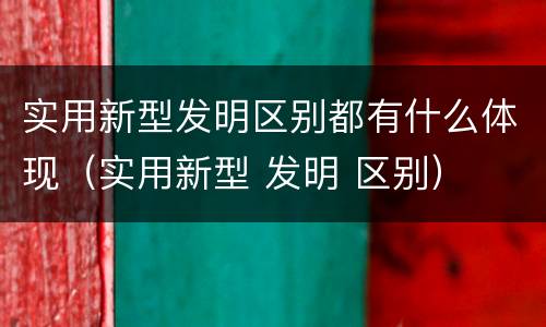 实用新型发明区别都有什么体现（实用新型 发明 区别）