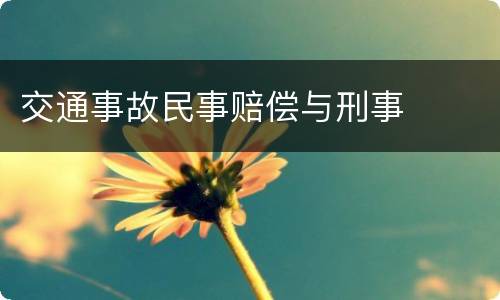 交通事故民事赔偿与刑事