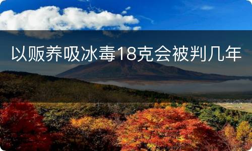 以贩养吸冰毒18克会被判几年