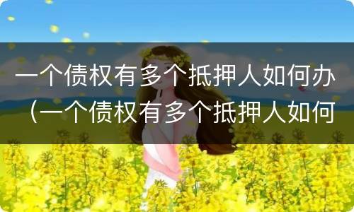 一个债权有多个抵押人如何办（一个债权有多个抵押人如何办房产证）
