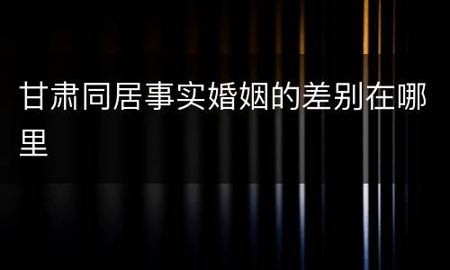 甘肃同居事实婚姻的差别在哪里