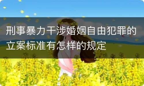 刑事暴力干涉婚姻自由犯罪的立案标准有怎样的规定