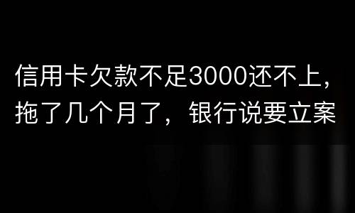 信用卡欠款不足3000还不上，拖了几个月了，银行说要立案，会坐牢吗