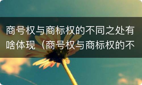 商号权与商标权的不同之处有啥体现（商号权与商标权的不同之处有啥体现吗）