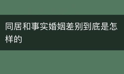 同居和事实婚姻差别到底是怎样的