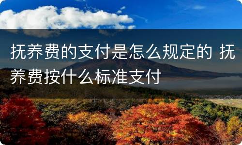 抚养费的支付是怎么规定的 抚养费按什么标准支付