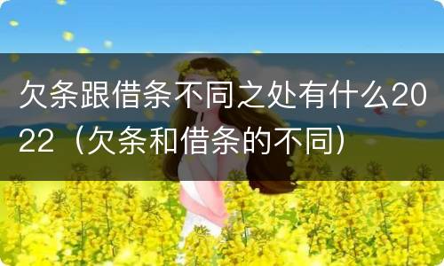 欠条跟借条不同之处有什么2022（欠条和借条的不同）