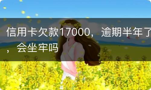 信用卡欠款17000，逾期半年了，会坐牢吗
