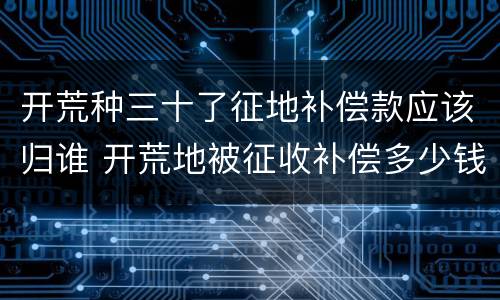 开荒种三十了征地补偿款应该归谁 开荒地被征收补偿多少钱