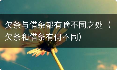 欠条与借条都有啥不同之处（欠条和借条有何不同）