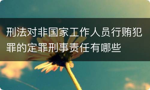 刑法对非国家工作人员行贿犯罪的定罪刑事责任有哪些