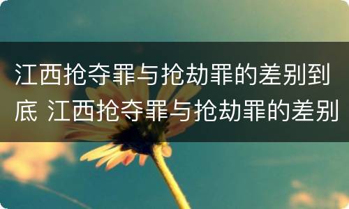 江西抢夺罪与抢劫罪的差别到底 江西抢夺罪与抢劫罪的差别到底有多大