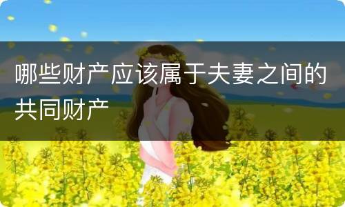哪些财产应该属于夫妻之间的共同财产