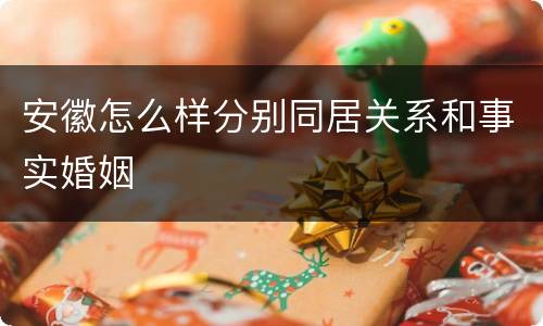 安徽怎么样分别同居关系和事实婚姻