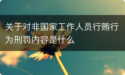 关于对非国家工作人员行贿行为刑罚内容是什么