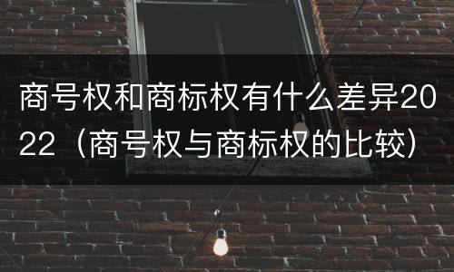商号权和商标权有什么差异2022（商号权与商标权的比较）