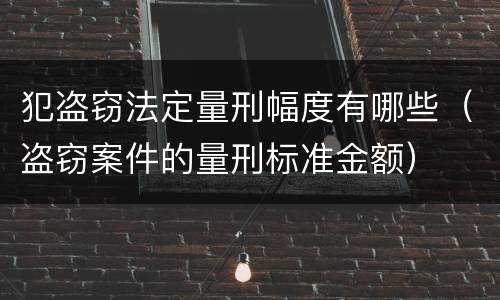 犯盗窃法定量刑幅度有哪些（盗窃案件的量刑标准金额）